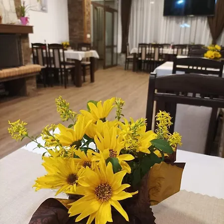 Hotel семеен при вергил Sapareva Bania